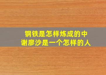 钢铁是怎样炼成的中谢廖沙是一个怎样的人