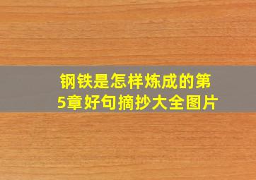 钢铁是怎样炼成的第5章好句摘抄大全图片