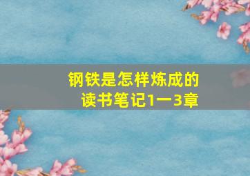 钢铁是怎样炼成的读书笔记1一3章