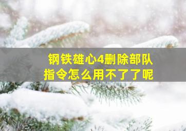 钢铁雄心4删除部队指令怎么用不了了呢