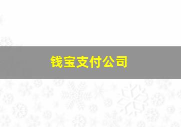 钱宝支付公司