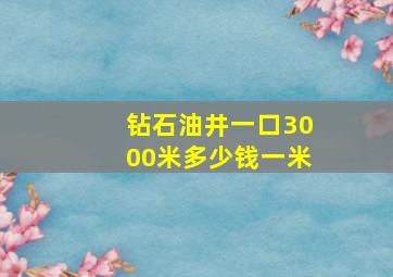 钻石油井一口3000米多少钱一米