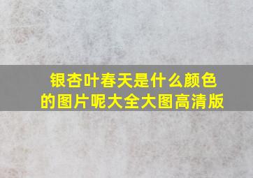 银杏叶春天是什么颜色的图片呢大全大图高清版