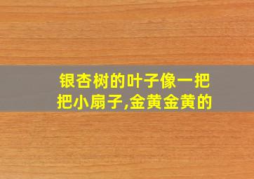 银杏树的叶子像一把把小扇子,金黄金黄的