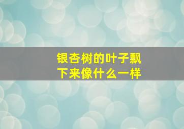 银杏树的叶子飘下来像什么一样