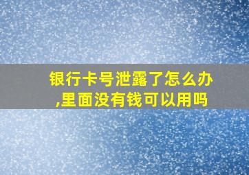 银行卡号泄露了怎么办,里面没有钱可以用吗