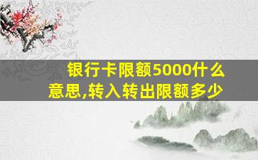 银行卡限额5000什么意思,转入转出限额多少