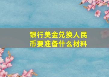 银行美金兑换人民币要准备什么材料