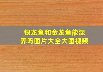 银龙鱼和金龙鱼能混养吗图片大全大图视频