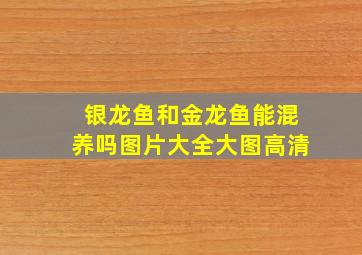 银龙鱼和金龙鱼能混养吗图片大全大图高清