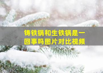 铸铁锅和生铁锅是一回事吗图片对比视频