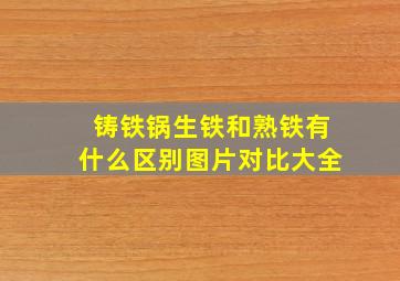 铸铁锅生铁和熟铁有什么区别图片对比大全