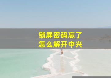 锁屏密码忘了怎么解开中兴