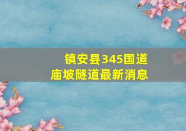 镇安县345国道庙坡隧道最新消息