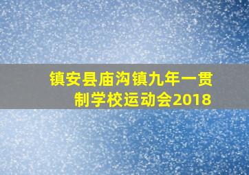 镇安县庙沟镇九年一贯制学校运动会2018