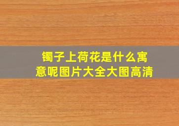 镯子上荷花是什么寓意呢图片大全大图高清