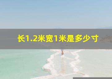 长1.2米宽1米是多少寸