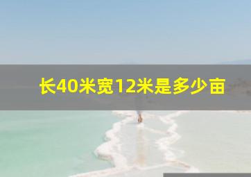 长40米宽12米是多少亩