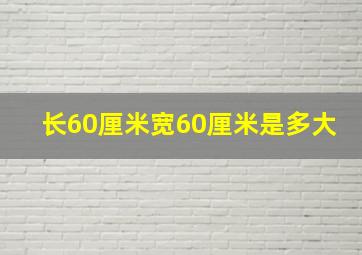 长60厘米宽60厘米是多大