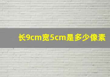 长9cm宽5cm是多少像素