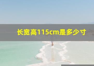 长宽高115cm是多少寸