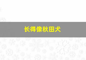 长得像秋田犬