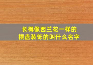 长得像西兰花一样的摆盘装饰的叫什么名字