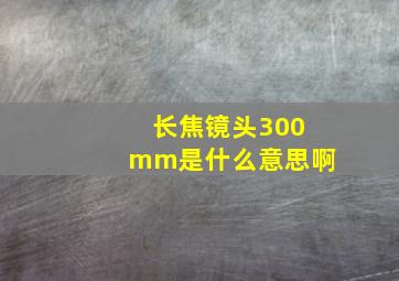 长焦镜头300mm是什么意思啊