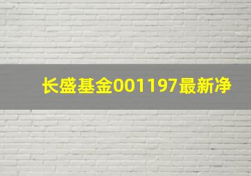 长盛基金001197最新净