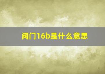 阀门16b是什么意思