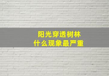 阳光穿透树林什么现象最严重