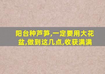 阳台种芦笋,一定要用大花盆,做到这几点,收获满满