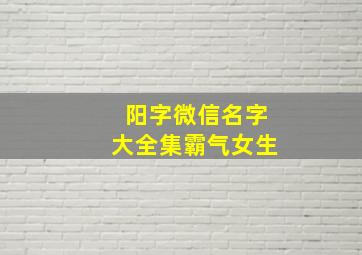 阳字微信名字大全集霸气女生