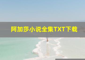 阿加莎小说全集TXT下载