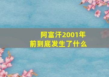 阿富汗2001年前到底发生了什么