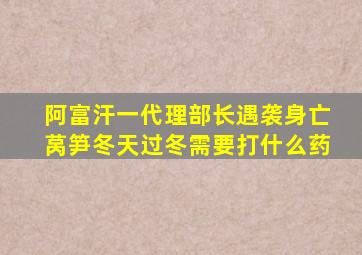 阿富汗一代理部长遇袭身亡莴笋冬天过冬需要打什么药