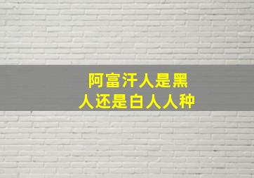 阿富汗人是黑人还是白人人种