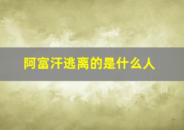 阿富汗逃离的是什么人