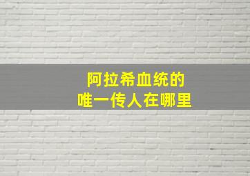 阿拉希血统的唯一传人在哪里