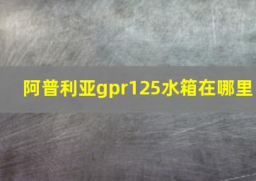 阿普利亚gpr125水箱在哪里