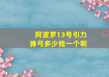 阿波罗13号引力弹弓多少钱一个啊