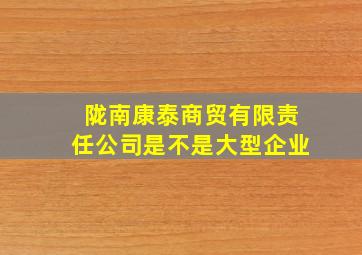 陇南康泰商贸有限责任公司是不是大型企业