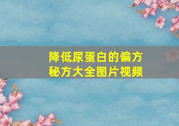 降低尿蛋白的偏方秘方大全图片视频