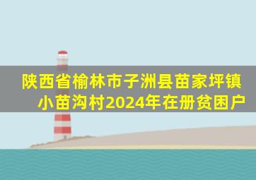 陕西省榆林市子洲县苗家坪镇小苗沟村2024年在册贫困户