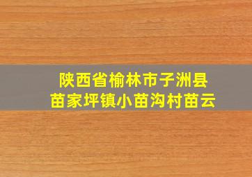 陕西省榆林市子洲县苗家坪镇小苗沟村苗云