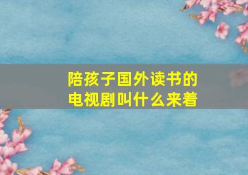 陪孩子国外读书的电视剧叫什么来着