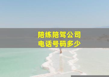 陪练陪驾公司电话号码多少