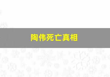 陶伟死亡真相