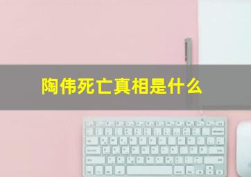 陶伟死亡真相是什么