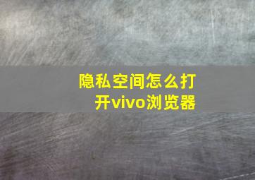 隐私空间怎么打开vivo浏览器